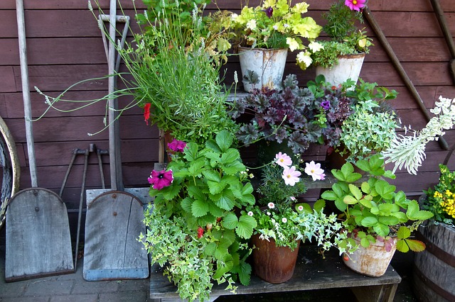 backyard flower pots